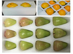 ��ʲô�Ϸ������ޱ��V�����ڼ����(n��i)������